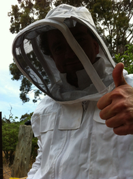 Beekeeper's first hive check